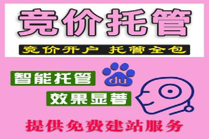 探索百度竞价托管公司的成功之路